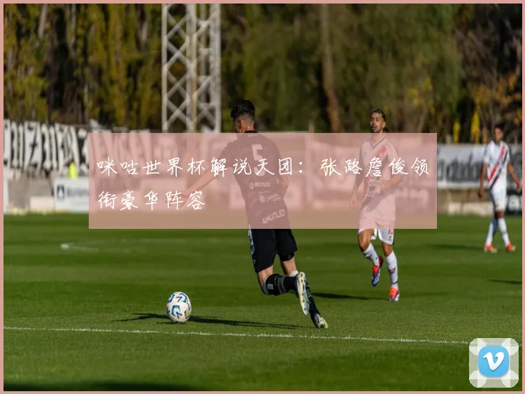 咪咕世界杯解说天团:张路詹俊领衔豪华阵容